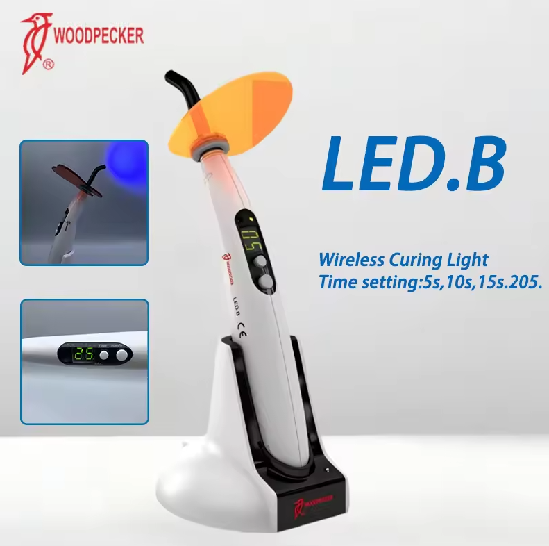 Lampada per polimerizzazione d - Teeth Whitening Professional recensione e prezzo